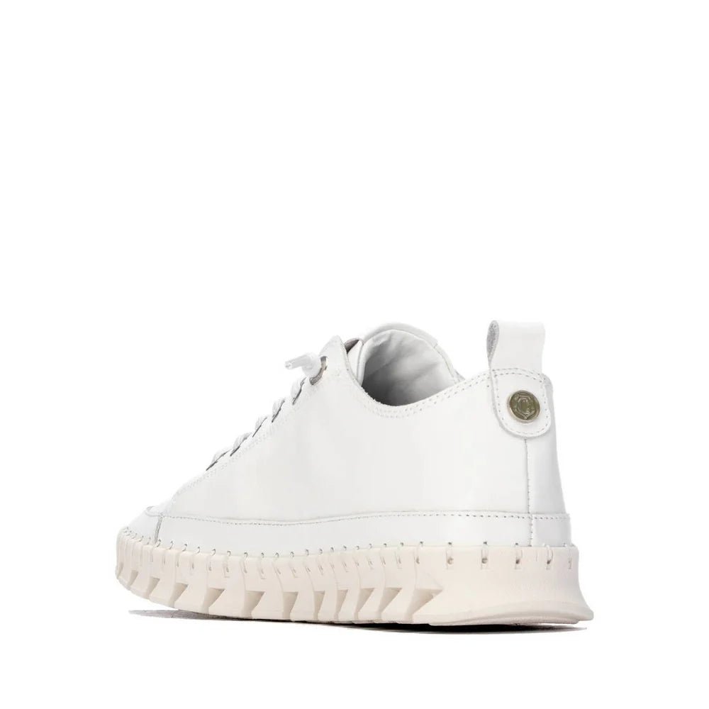 Sapato Carmela em Couro com Detalhes Dourados | Casual Feminino - Roma Pell