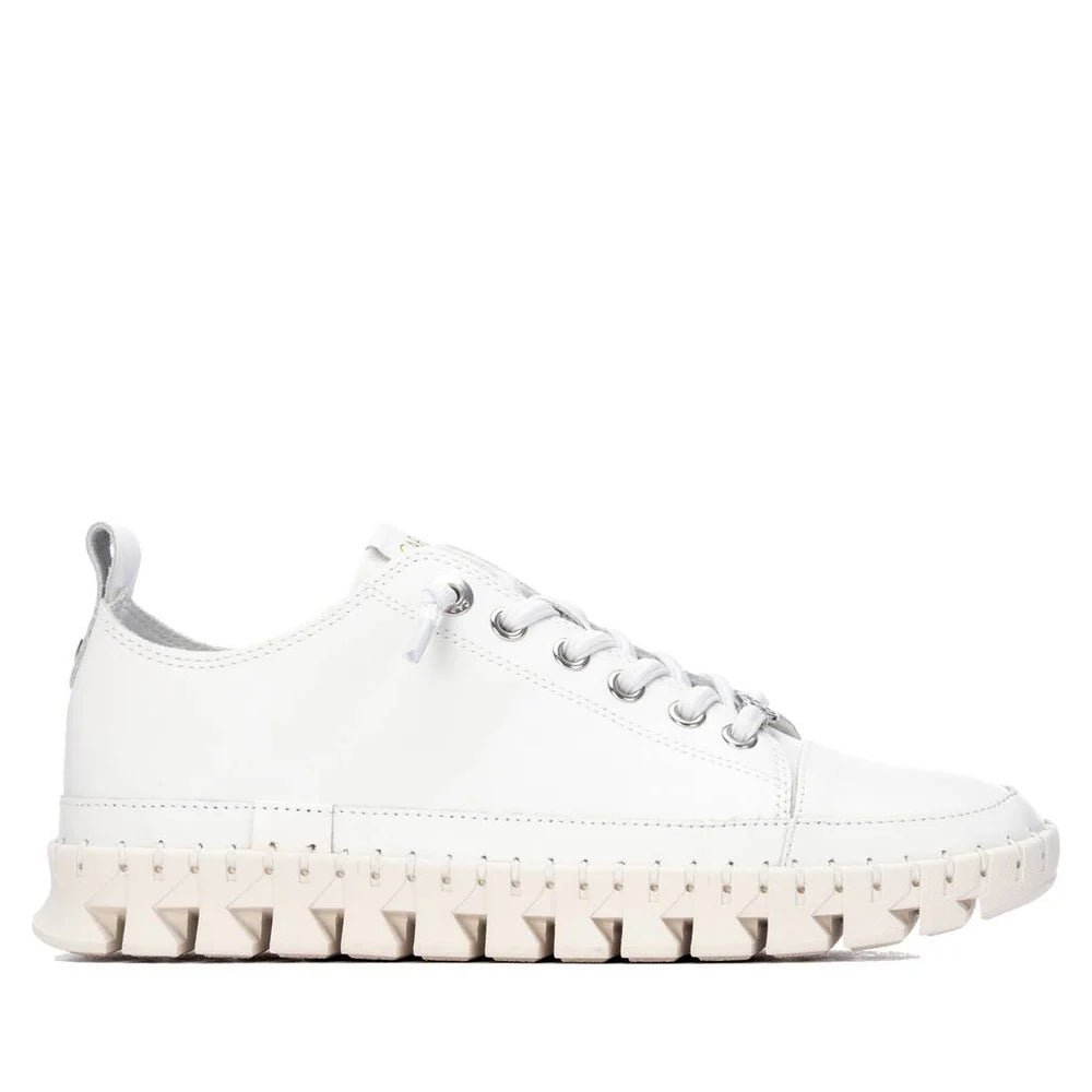 Sapato Carmela em Couro com Detalhes Dourados | Casual Feminino - Roma Pell