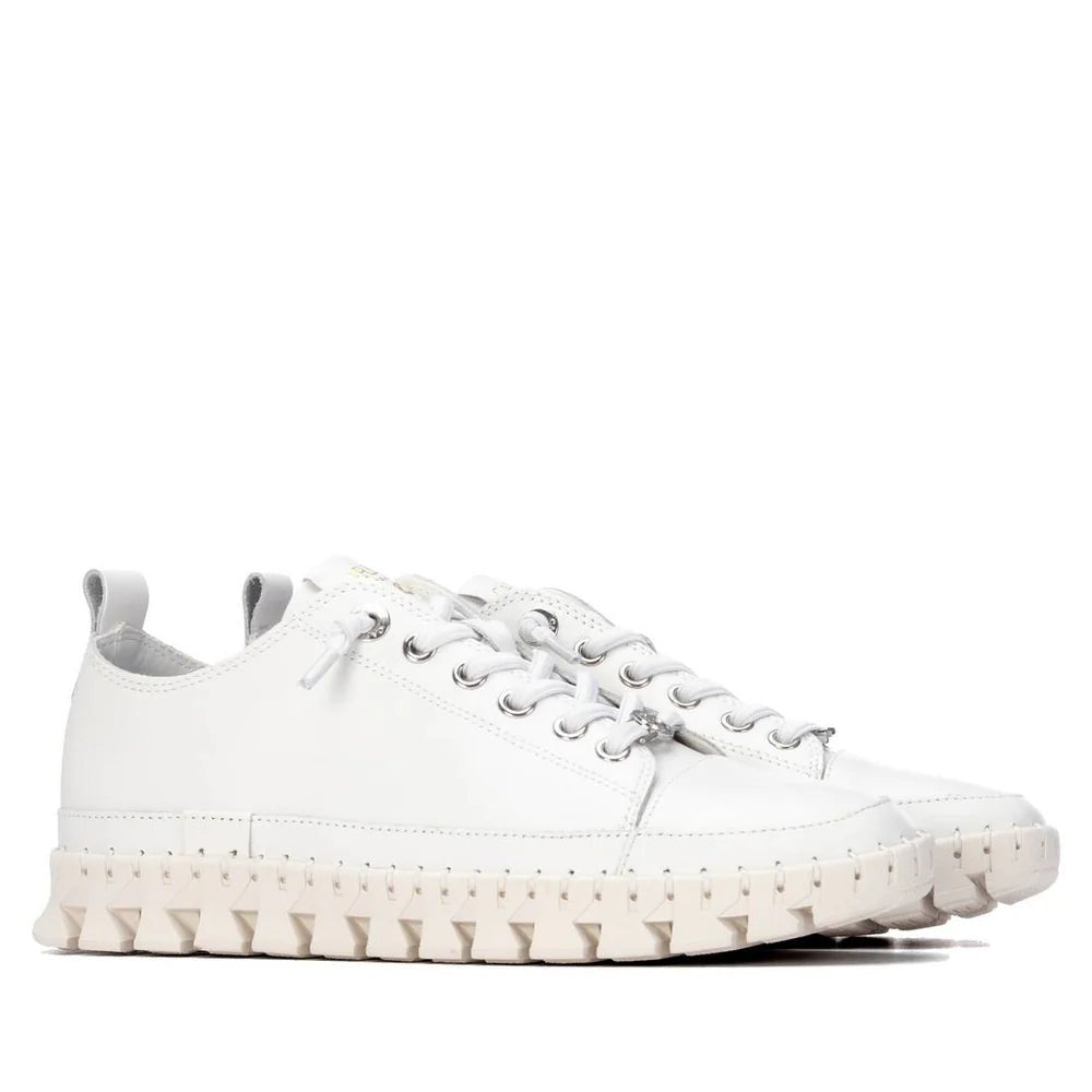 Sapato Carmela em Couro com Detalhes Dourados | Casual Feminino - Roma Pell