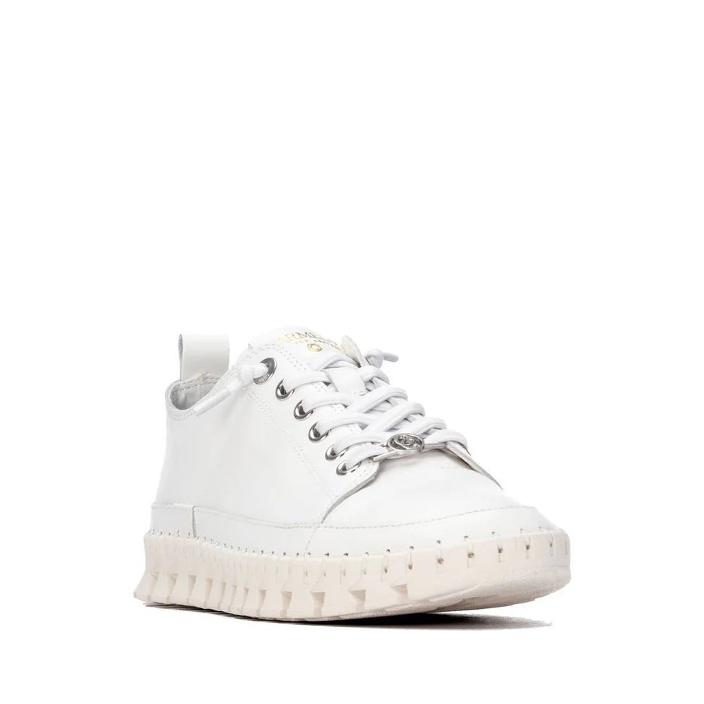Sapato Carmela em Couro com Detalhes Dourados | Casual Feminino - Roma Pell